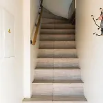 Zalia Kopa 300 M Iki Juros, Kunigiskes Palanga