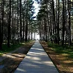 Zalia Kopa 300 M Iki Juros, Kunigiskes * Palanga