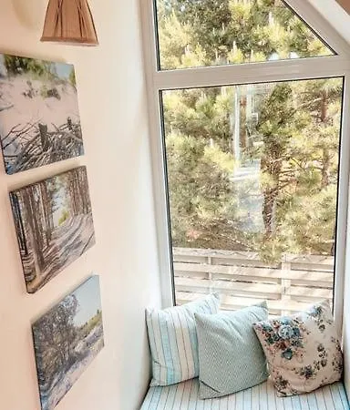 Zalia Kopa 300 M Iki Juros, Kunigiskes Appartement