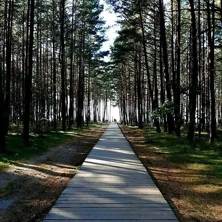 Zalia Kopa 300 M Iki Juros, Kunigiskes * Паланга