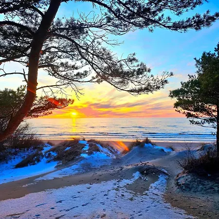 Zalia Kopa * Παλάγκα