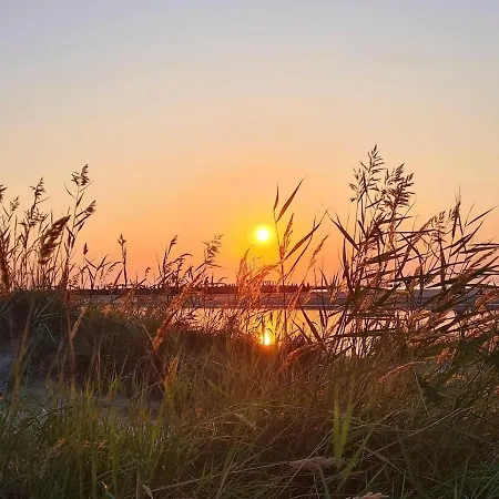 Zalia Kopa 300 M Iki Juros, Kunigiskes Palanga