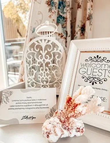 Zalia Kopa Παλάγκα