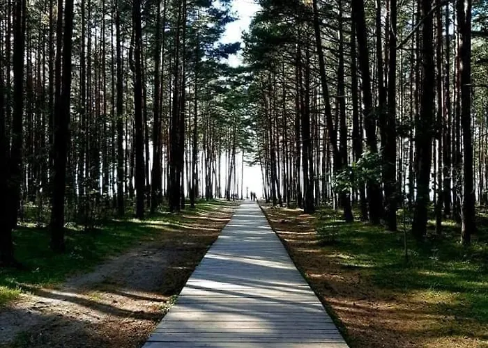 Zalia Kopa * Palanga