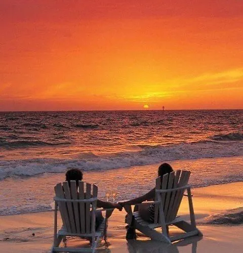 Zalia Kopa * Palanga