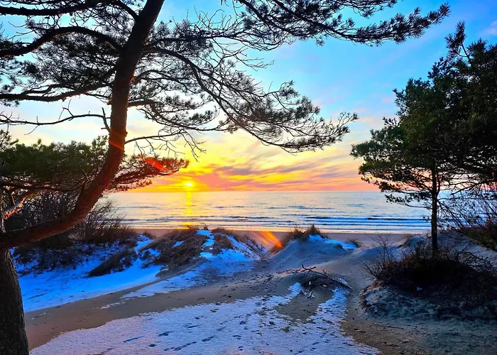 Zalia Kopa * Palanga